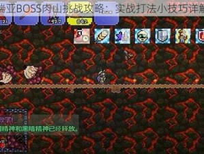 泰拉瑞亚BOSS肉山挑战攻略：实战打法小技巧详解教学