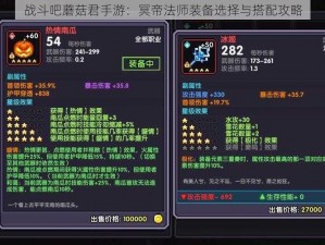 战斗吧蘑菇君手游：冥帝法师装备选择与搭配攻略