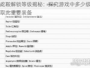 翼龙鞍解锁等级揭秘：探究游戏中多少级可获取此重要装备