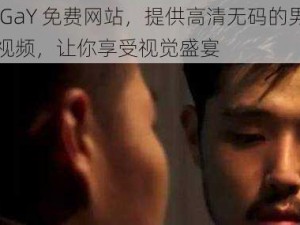 男男 GaY 免费网站，提供高清无码的男性同性恋视频，让你享受视觉盛宴