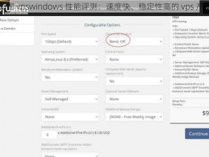 美国 vpswindows 性能评测：速度快、稳定性高的 vps 产品