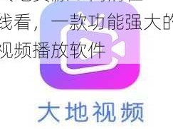 大地资源 8 高清在线看，一款功能强大的视频播放软件