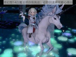 最终幻想14白魔法师自我挑战：动物园速刷攻略心得分享