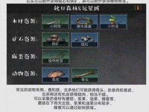 明日之后秋日森林采集攻略：蜂蜜与浆果采集地点选择建议，助您轻松获取丰厚资源