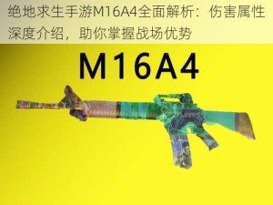 绝地求生手游M16A4全面解析：伤害属性深度介绍，助你掌握战场优势