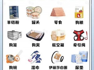 像狗一样跪在主人怀里打听：极致舒适的宠物用品