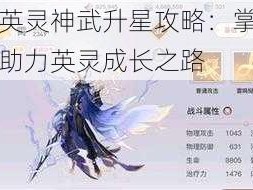 天谕手游英灵神武升星攻略：掌握星级提升技巧，助力英灵成长之路