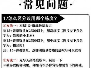 解决御魂方案码导入无反应实用步骤与技巧指南