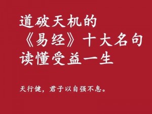 古代人生处世细节解析与避坑策略：人生必备智慧与新手指南