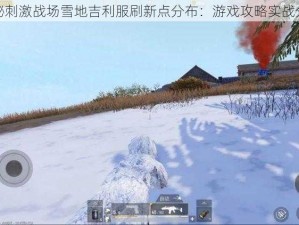 揭秘刺激战场雪地吉利服刷新点分布：游戏攻略实战分享