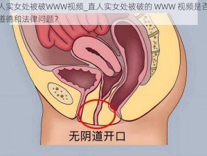 直人实女处被破WWW视频_直人实女处被破的 WWW 视频是否存在道德和法律问题？