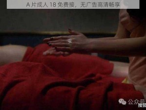 A 片成人 18 免费接，无广告高清畅享