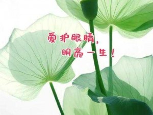 最好看的 2018 高清国语蓝光护眼无闪烁，久看不累，呵护您的眼睛