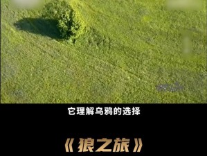 铜齿土狼栖息地揭秘：探索未知领域之旅