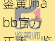 鉴黄师abb官方正版、鉴黄师 abb 官方正版的工作是否存在伦理和道德争议？