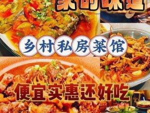 china农村夫妻homemade、China 农村夫妻的自制美食：探索地道农家风味