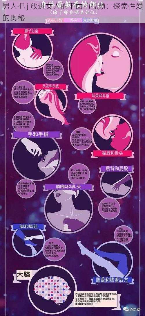 男人把 j 放进女人的下面的视频：探索性爱的奥秘