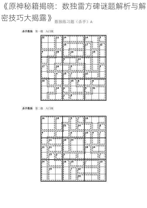 《原神秘籍揭晓：数独雷方碑谜题解析与解密技巧大揭露》