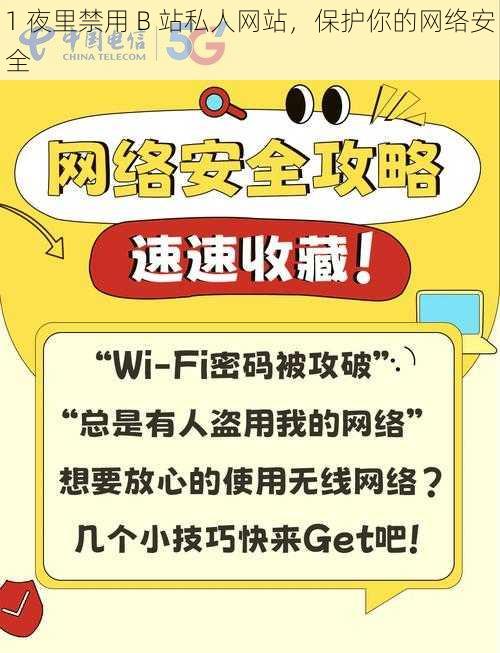 1 夜里禁用 B 站私人网站，保护你的网络安全