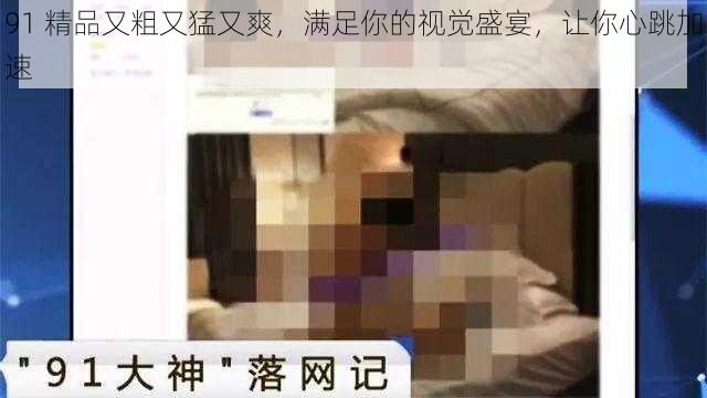 91 精品又粗又猛又爽，满足你的视觉盛宴，让你心跳加速