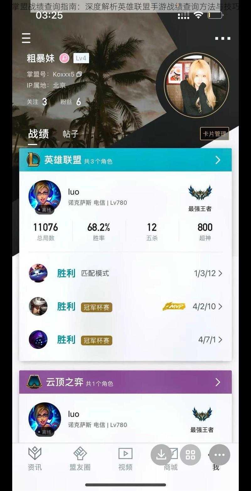 掌盟战绩查询指南：深度解析英雄联盟手游战绩查询方法与技巧