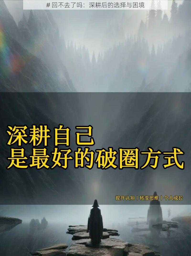 # 回不去了吗：深耕后的选择与困境