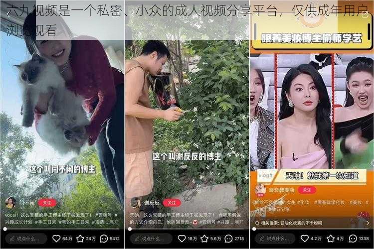 六九视频是一个私密、小众的成人视频分享平台，仅供成年用户浏览观看