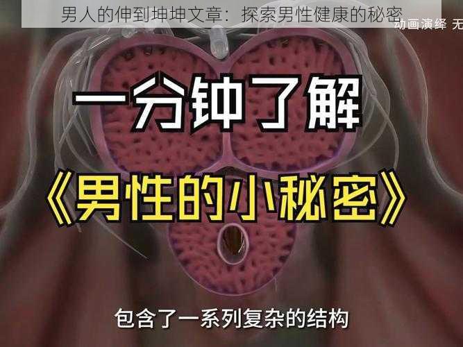 男人的伸到坤坤文章：探索男性健康的秘密