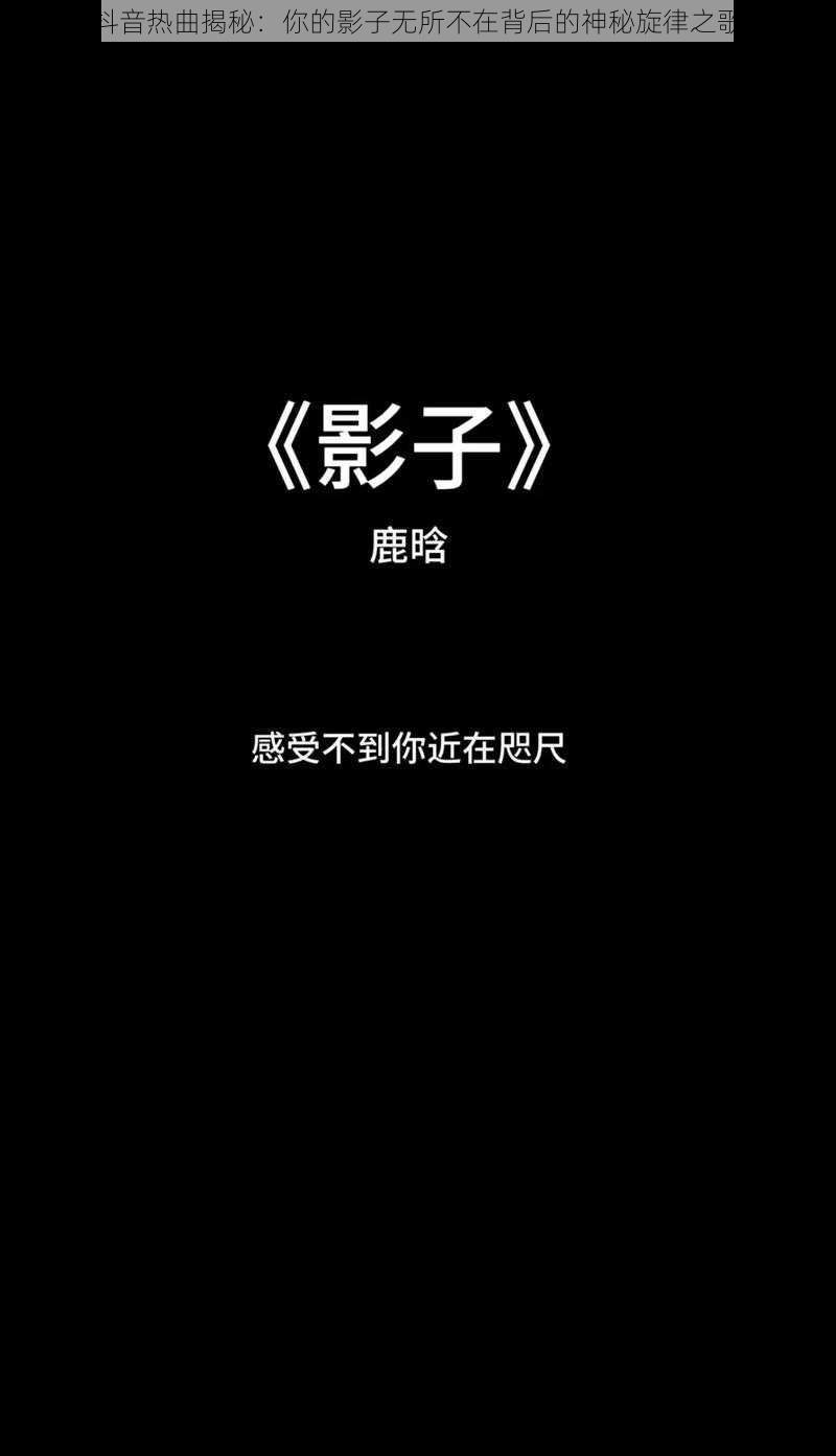 抖音热曲揭秘：你的影子无所不在背后的神秘旋律之歌