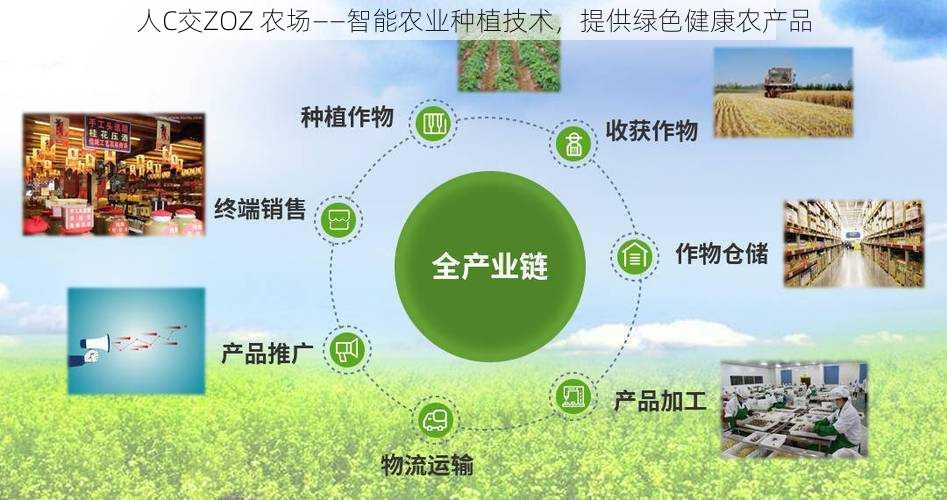 人C交ZOZ 农场——智能农业种植技术，提供绿色健康农产品