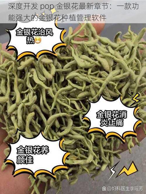 深度开发 pop 金银花最新章节：一款功能强大的金银花种植管理软件