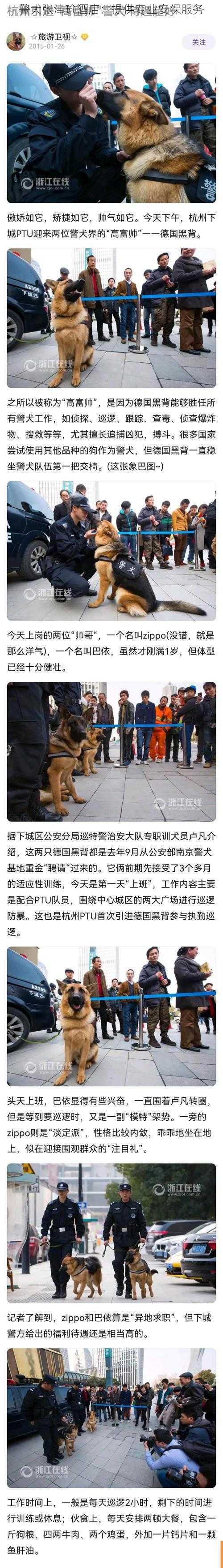 警犬张津瑜酒店：提供专业安保服务