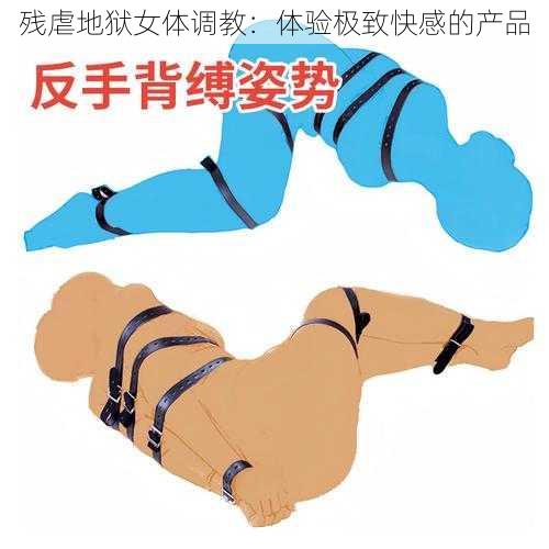 残虐地狱女体调教：体验极致快感的产品