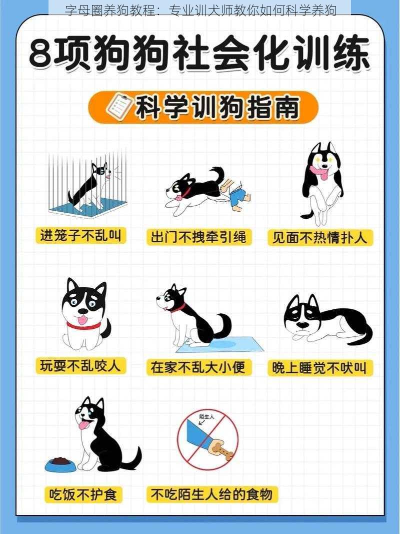 字母圈养狗教程：专业训犬师教你如何科学养狗