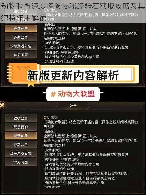 动物联盟深度探险揭秘经验石获取攻略及其独特作用解读