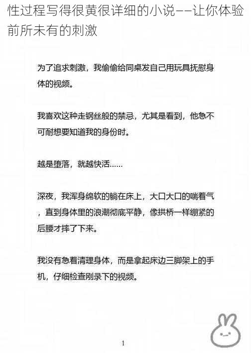 性过程写得很黄很详细的小说——让你体验前所未有的刺激