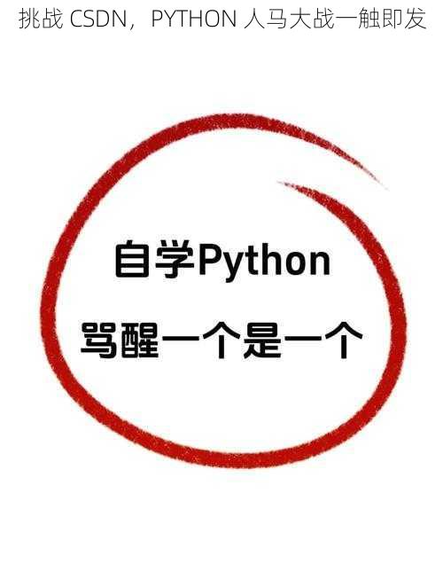 挑战 CSDN，PYTHON 人马大战一触即发