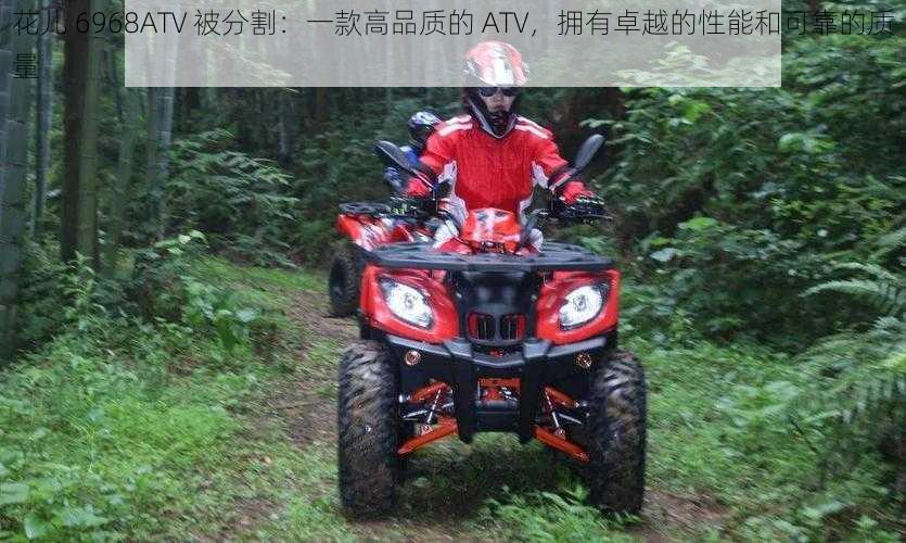 花儿 6968ATV 被分割：一款高品质的 ATV，拥有卓越的性能和可靠的质量