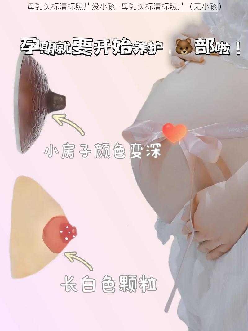 母乳头标清标照片没小孩—母乳头标清标照片（无小孩）