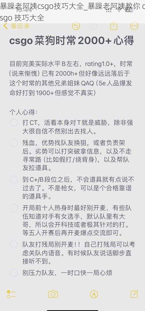 暴躁老阿姨csgo技巧大全_暴躁老阿姨教你 csgo 技巧大全