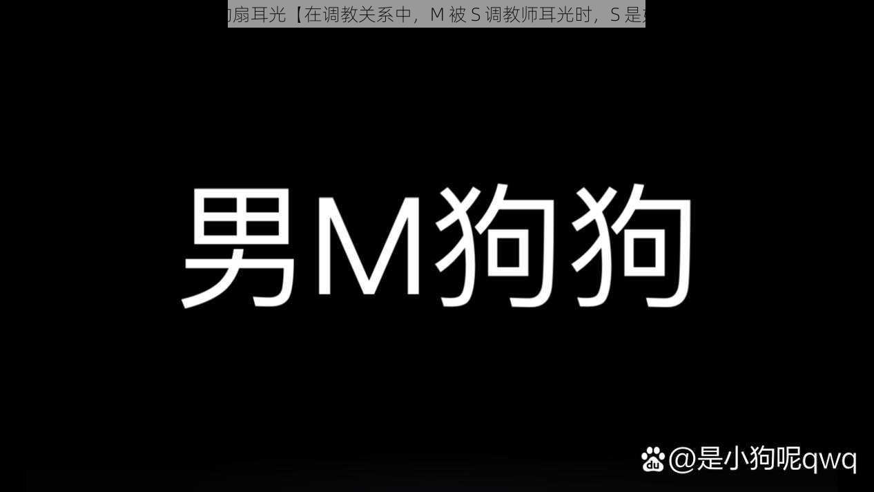 s是怎么调m的扇耳光【在调教关系中，M 被 S 调教师耳光时，S 是如何进行的？】