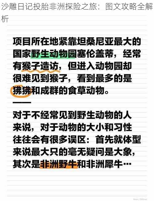 沙雕日记投胎非洲探险之旅：图文攻略全解析