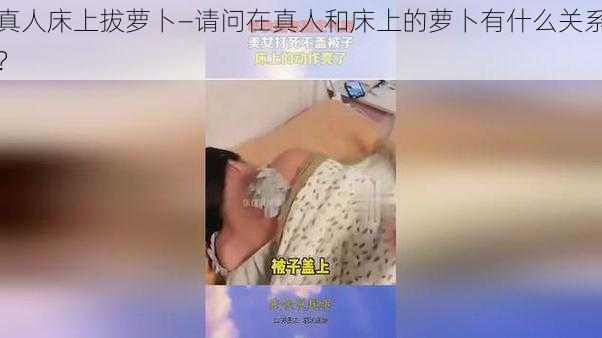 真人床上拔萝卜—请问在真人和床上的萝卜有什么关系？