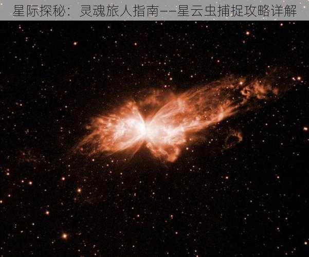 星际探秘：灵魂旅人指南——星云虫捕捉攻略详解