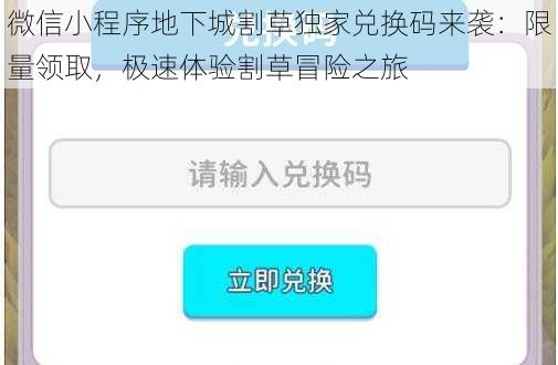 微信小程序地下城割草独家兑换码来袭：限量领取，极速体验割草冒险之旅