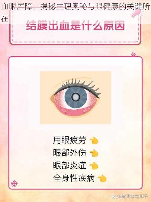 血眼屏障：揭秘生理奥秘与眼健康的关键所在