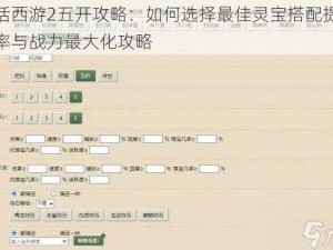 大话西游2五开攻略：如何选择最佳灵宝搭配提升效率与战力最大化攻略