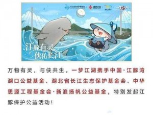 一梦江湖游戏专业术语解析：探寻江湖术语背后的深意