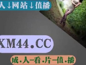 成人 cc 亚洲无限乱吗？——岛国动作片的魅力与争议