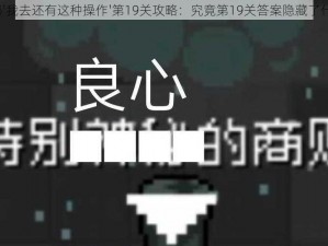 揭秘'我去还有这种操作'第19关攻略：究竟第19关答案隐藏了什么？